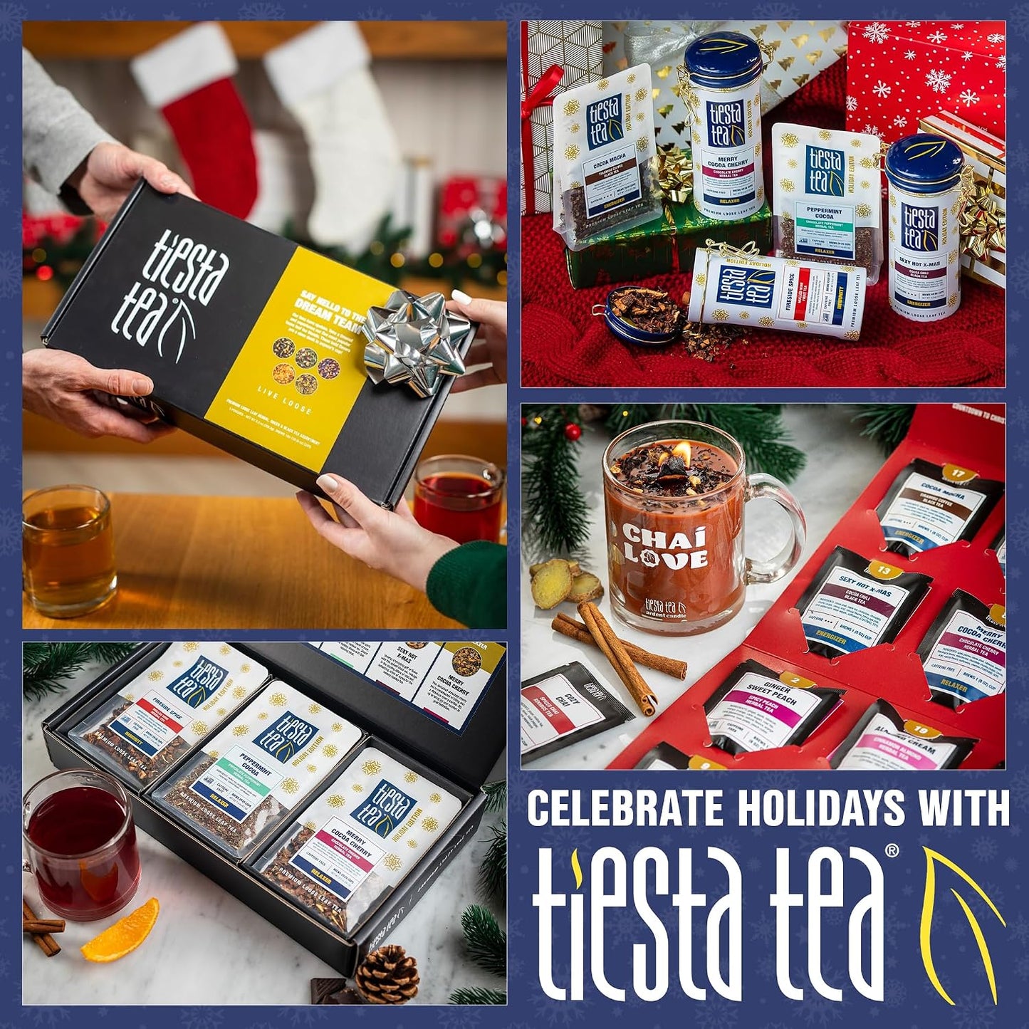 Tiesta Tea Premium Starter Loose Leaf Sampler Kit - Classic Tea Blends