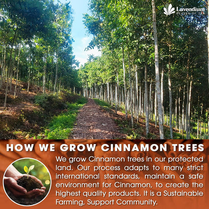 Lavendium Ceylon Cinnamon Tea Bags, Cinnamon Tea, Caffeine-Free