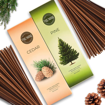 Hem Incense Sticks Variety Pack #23-120 Insence-Sticks (6 Incents x 20 Insense) + Incense Stick Holder with 6 Most Liked Scents Including Patchouli Dragons Blood White Sage Frankincense-Myrrh