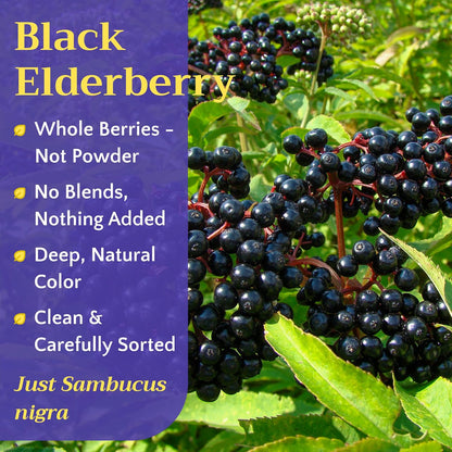 Black Elderberry Tea - Whole Dried Sambucus nigra Elderberries, 2oz