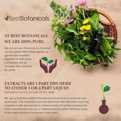 Best Botanicals Echinacea Purpurea Root Powder 16 oz.