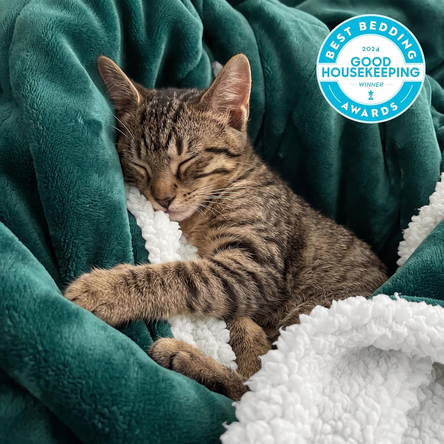 Bedsure GentleSoft Sherpa Fleece Throw Blanket for Couch, Non-Heated, Thick & Warm Cozy Blanket for Winter, Soft Fuzzy Plush Throw Gifts for Women and Men, Grey, 50x60 Inches