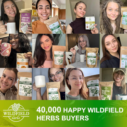24 Bags Dried Cut Sidebells Wintergreen Herb Tea (Orthilia Secunda) - 24 Count 1.5g Tea Bags One-Sided Wintergreen Orthilia (Peralito)