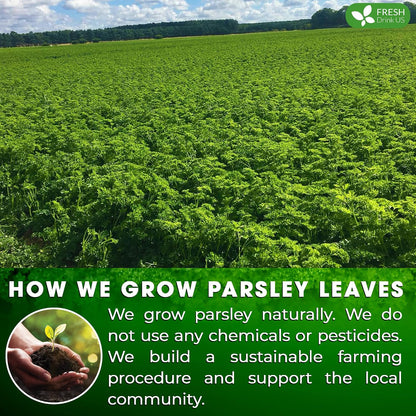 FreshDrinkUS, Premium Parsley Leaf Tea, 135 Count, Pure, Caffeine Free