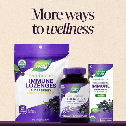 Nature's Way Sambucus Traditional Elderberry Immune Support* Syrup, 8 fl oz