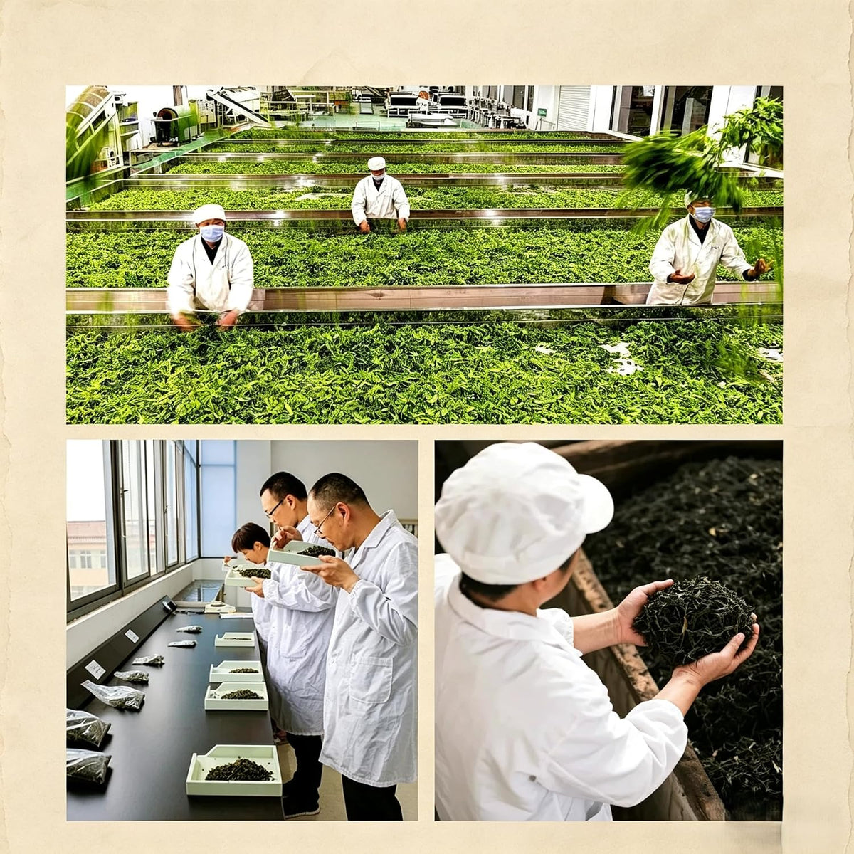 NASLAPH Tieguanyin Oolong Tea Bag, Chinese Grade AAA Oolong Leaf, 30 Bags