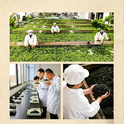 NASLAPH Tieguanyin Oolong Tea Bag, Chinese Grade AAA Oolong Leaf, 30 Bags