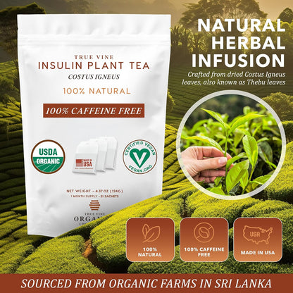 Insulin Plant Tea — USDA Organic Herbal Tea Bags (31 Sachets, 4g Each)