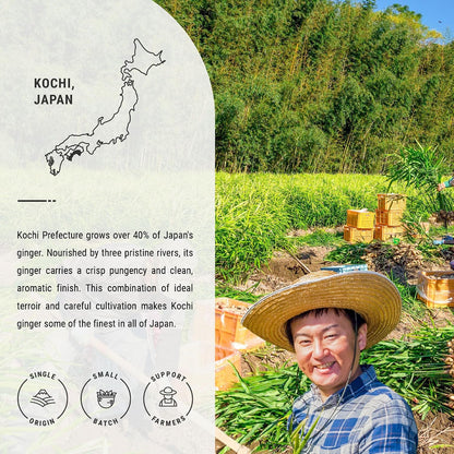 Senbird Caffeine-Free Japanese Ginger Loose Tea - Shogacha Kin (2.12oz/60g)
