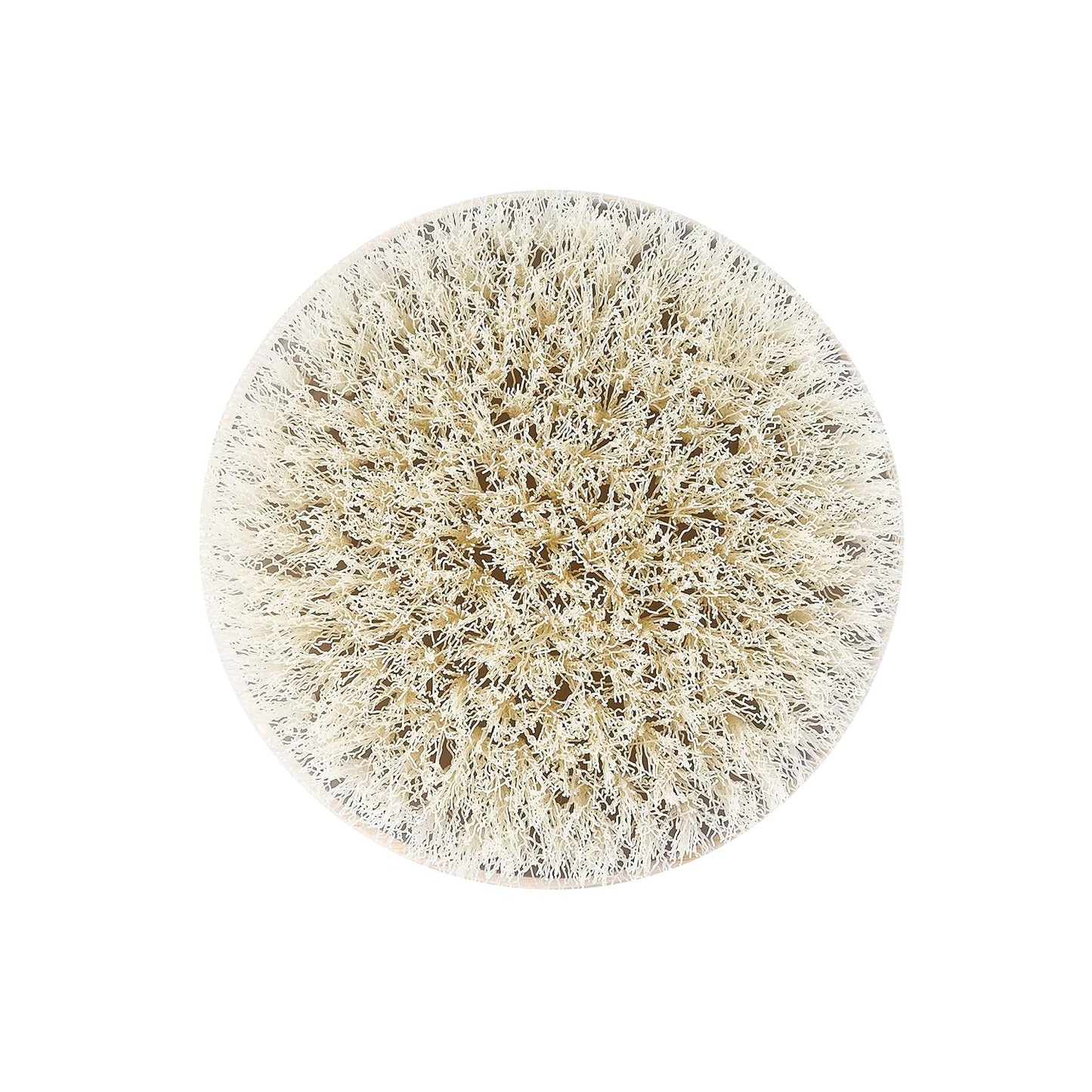 EcoTools Dry Body Brush, for Post Shower & Bath Skincare Routine, Removes Dirt and Promotes Blood Circulation, 1 Count