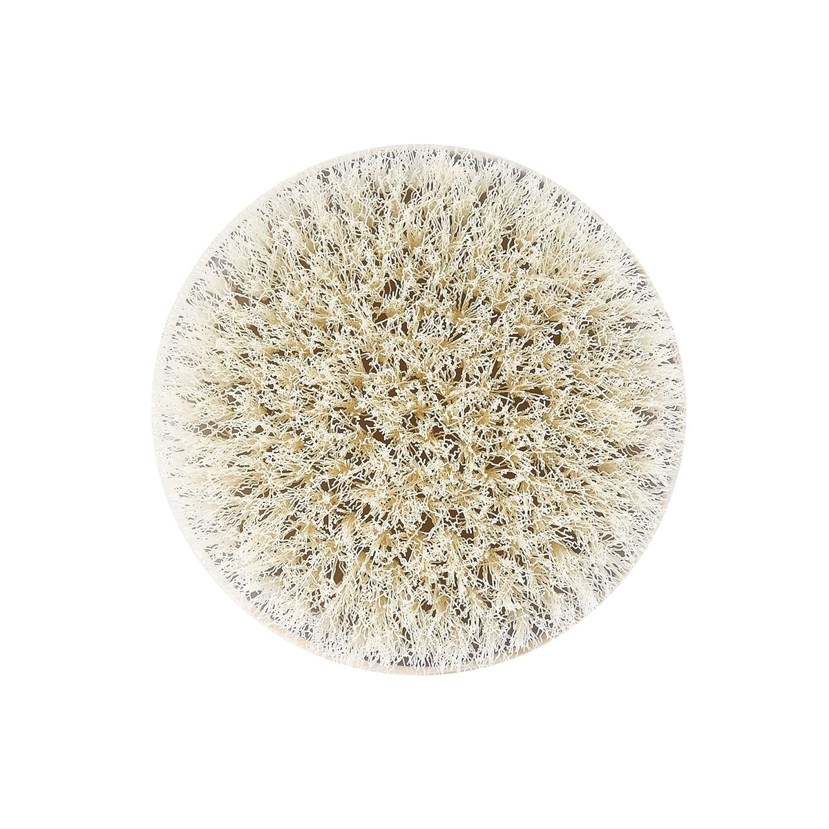 EcoTools Dry Body Brush for Shower Skincare, 1 Count
