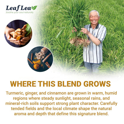 LeafLea Turmeric Ginger Cinnamon Tea Bags, 40 Ct Caffeine-Free Herbal Tea