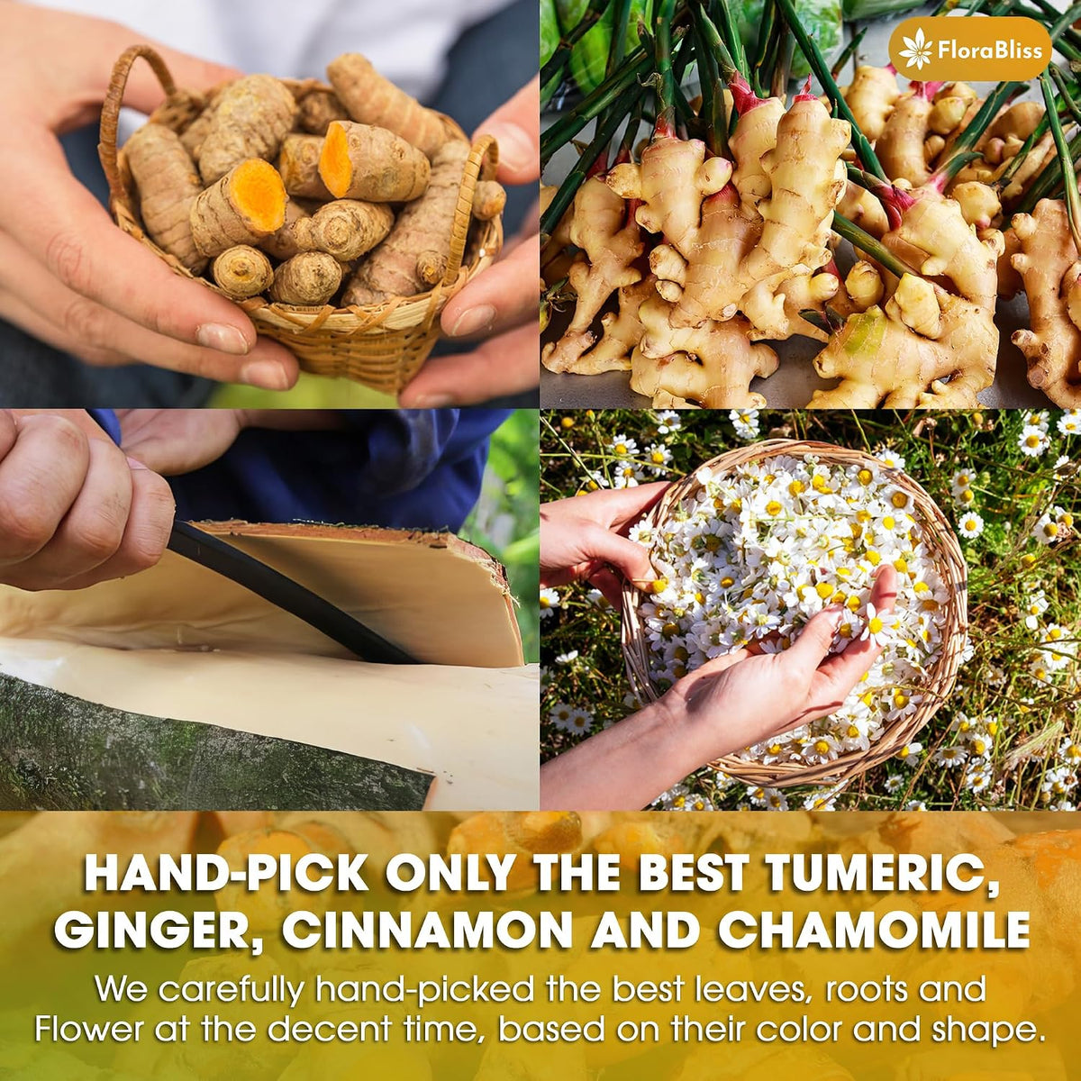 FloraBliss 50 Bags Turmeric, Ginger, and Cinnamon Tea. Added Chamomile