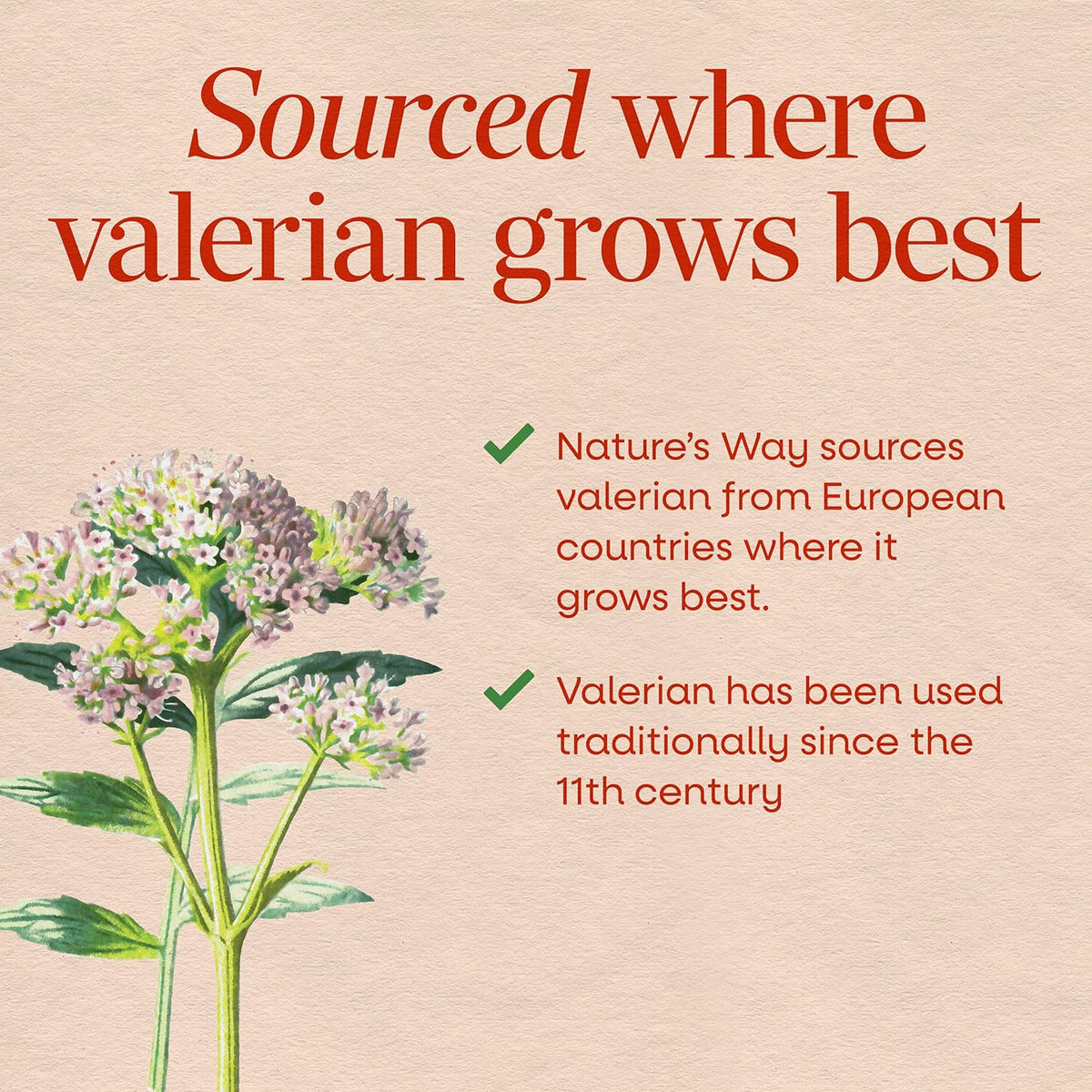 Nature's Way Valerian Nighttime, Valerian Root Sleep Support*, 100 Tablets