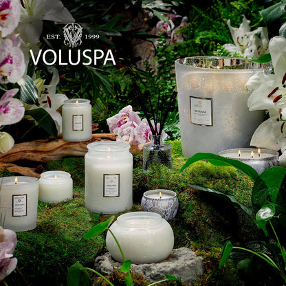 Voluspa Baltic Amber Candle, 18 oz, Coconut Wax Blend, Scented Candles for Home, 100 Hour Burn Time, Candle Jar