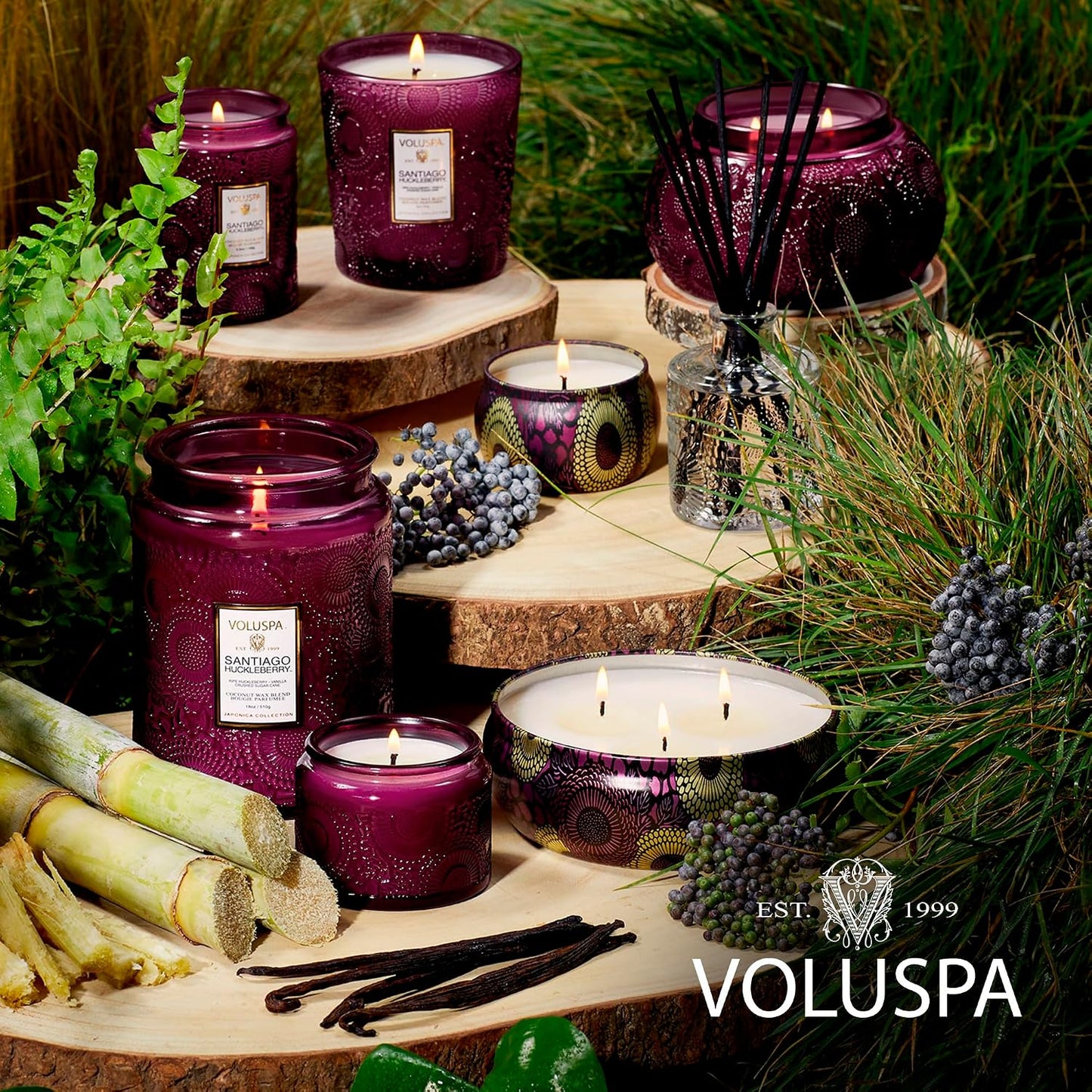 Voluspa Baltic Amber Candle, 18 oz, Coconut Wax Blend, Scented Candles for Home, 100 Hour Burn Time, Candle Jar