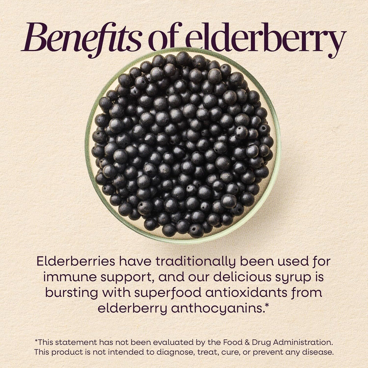Nature's Way Sambucus Traditional Elderberry Immune Support* Syrup, 8 fl oz