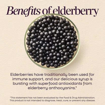Nature's Way Sambucus Traditional Elderberry Immune Support* Syrup, 8 fl oz