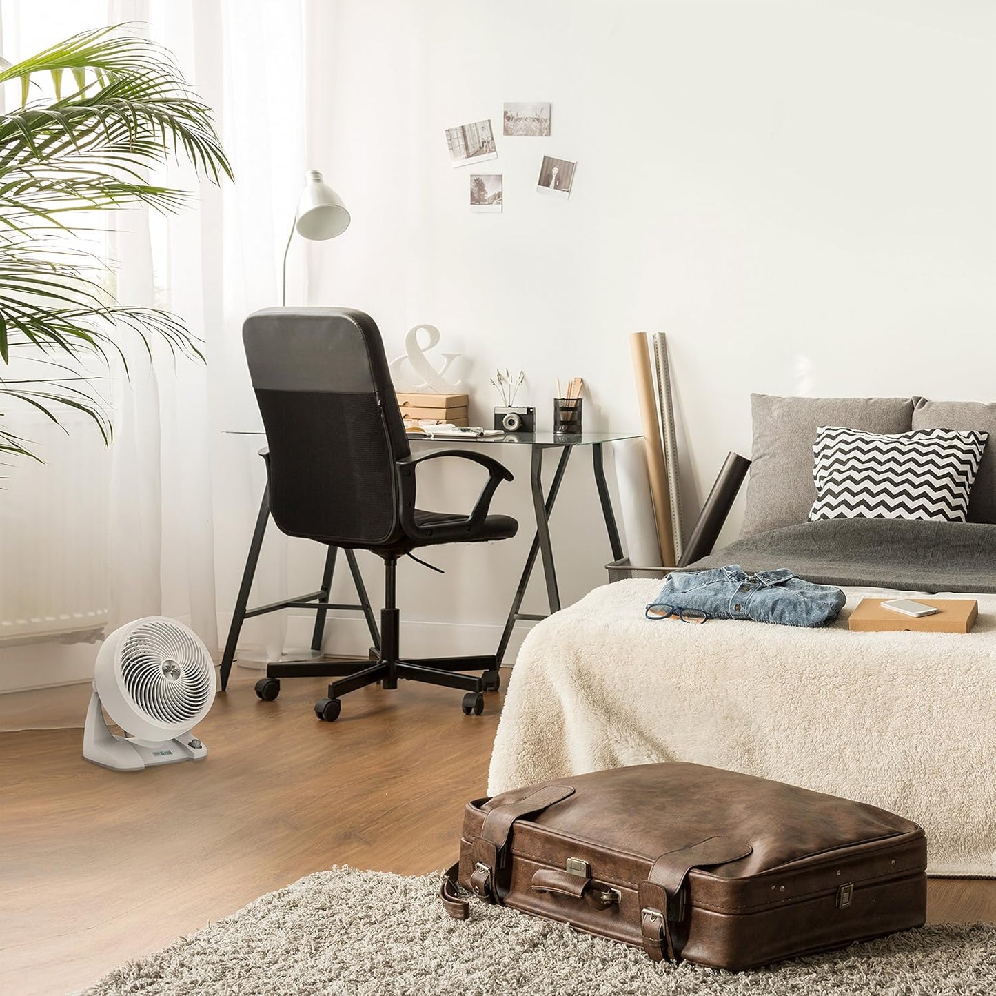 Vornado 133DC Energy Smart Compact Air Circulator with Variable Speed Control, DC Motor, Adjustable Tilt, Quiet Operation for Bedroom, Office, and Home Use, White