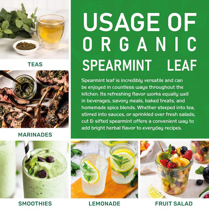 Jiva Organics Spearmint Leaf (Cut & Sifted) 1 Pound | Fresh Aroma, Premium Quality, Non-Irradiated Herbal Mint Leaves