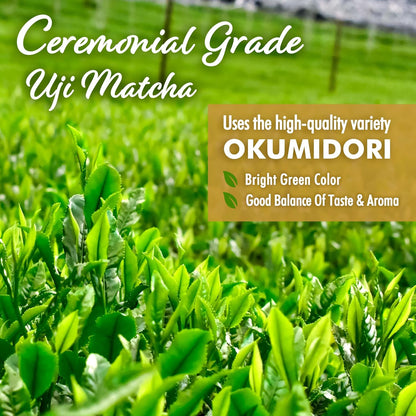 YAMASAN KYOTO UJI Oat Milk Matcha Latte Instant Mix Vegan 3.5oz