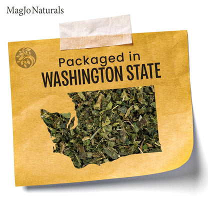 MagJo Naturals Nettle Leaf Tea, 1lb (16Oz) Cut and Sifted: Bulk European Stinging Nettle (Urtica Dioica)
