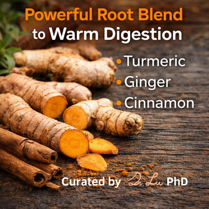 Dr. Lu’s Organic Turmeric Ginger Cinnamon Tea | Tropical Wild Roots & Bark from South Asia | 100% Natural Digestive & Warming Support | 30 x 3g Potent Root Blend Corn Fiber Pyramid Bags (No Plastic, No Nylon)