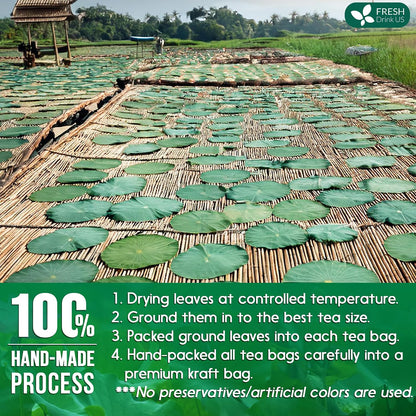FreshDrinkUS, Premium Lotus Leaf Tea Bag, 135 Count, Pure, Caffeine Free