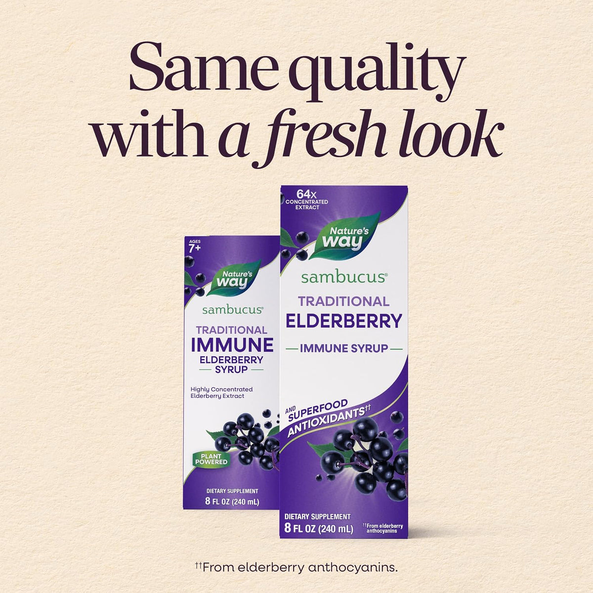 Nature's Way Sambucus Traditional Elderberry Immune Support* Syrup, 8 fl oz