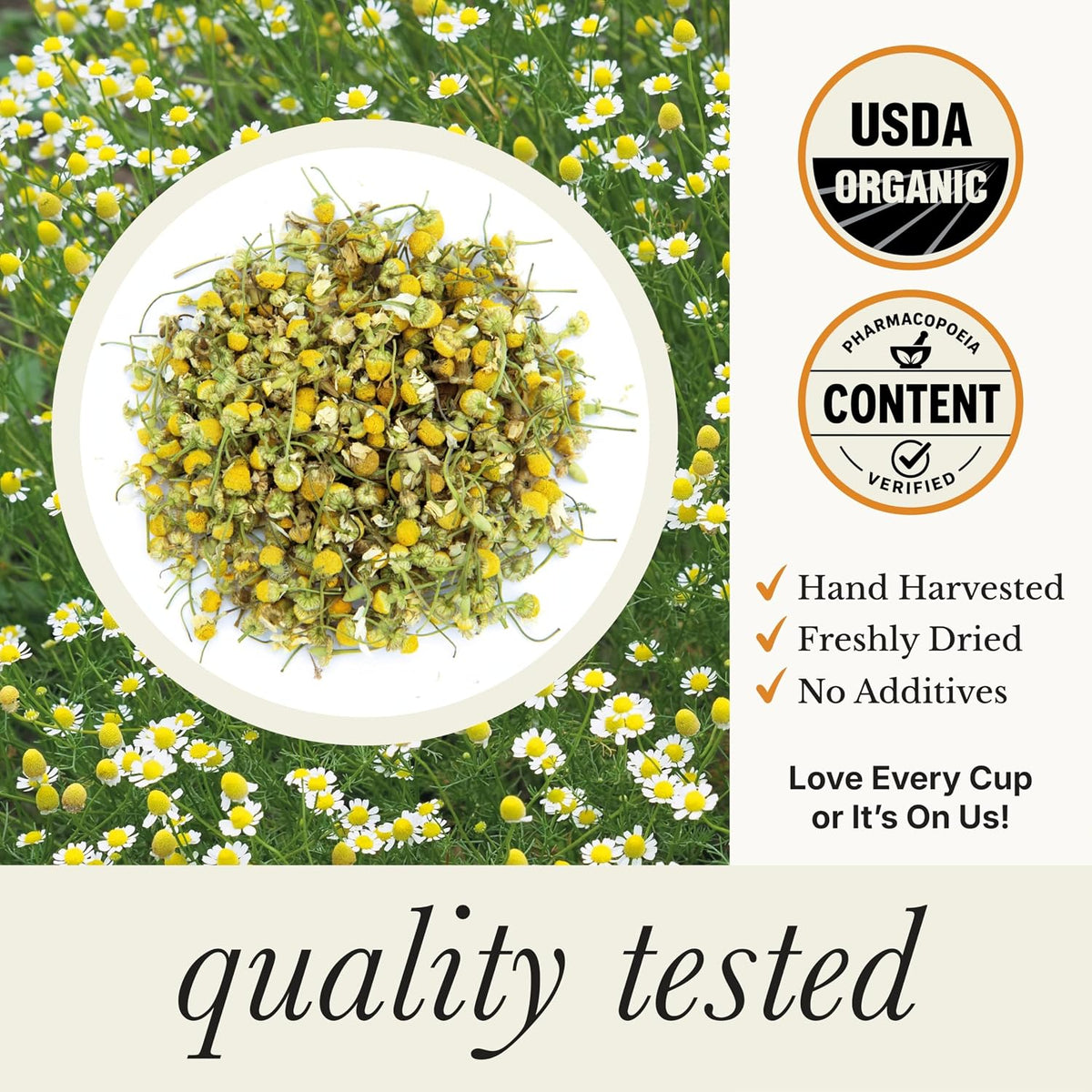 Wild Bliss Organic Chamomile Tea - Caffeine Free Calming Herbal Support - Pharmacopoeia Potency - 75 Plant Based Tea Bags