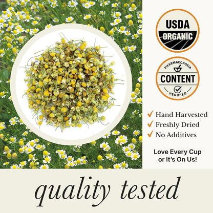 Wild Bliss Organic Chamomile Tea - Caffeine Free Calming Herbal Support - Pharmacopoeia Potency - 20 Plant Based Tea Bags