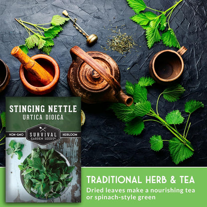 Stinging Nettle Seeds for Planting - 2 Packs