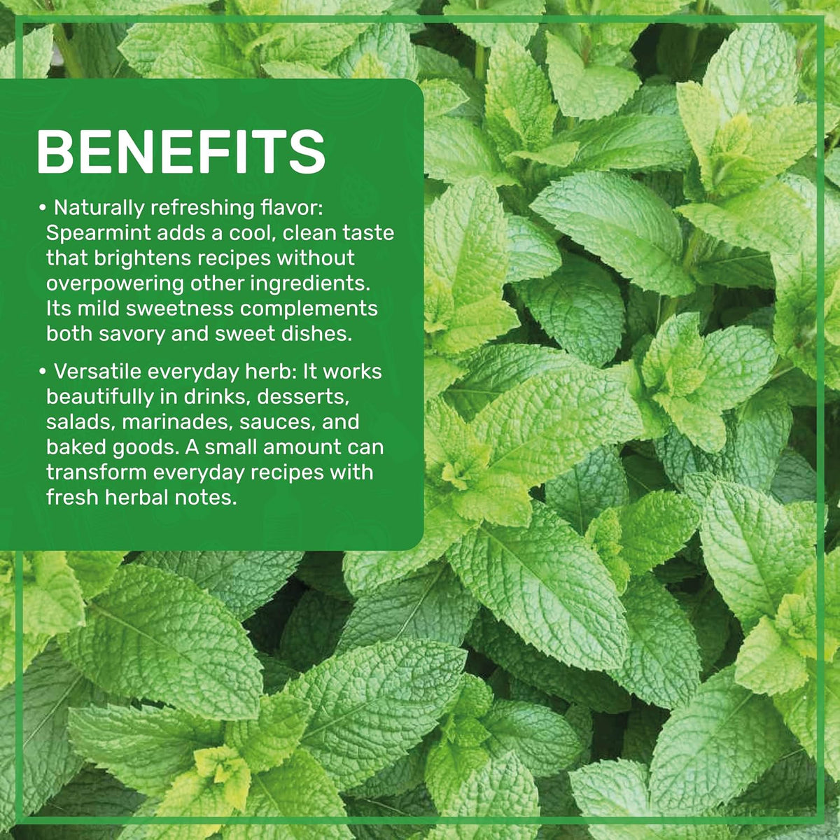 Jiva Organics Spearmint Leaf (Cut & Sifted) 1 Pound | Fresh Aroma, Premium Quality, Non-Irradiated Herbal Mint Leaves