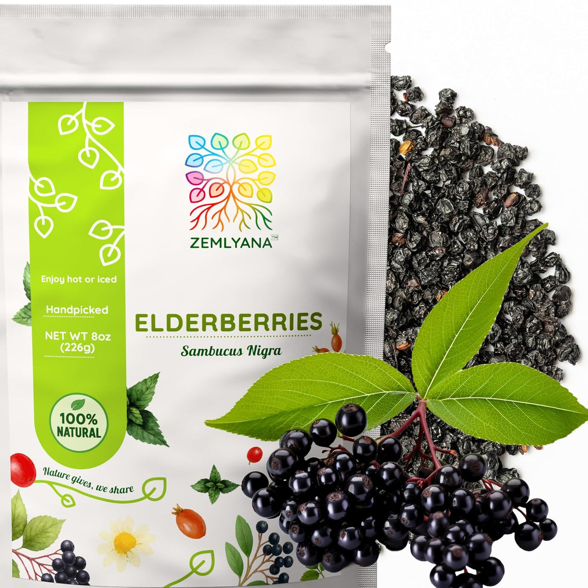 Black Elderberry Tea - Whole Dried Sambucus nigra Elderberries, 8oz