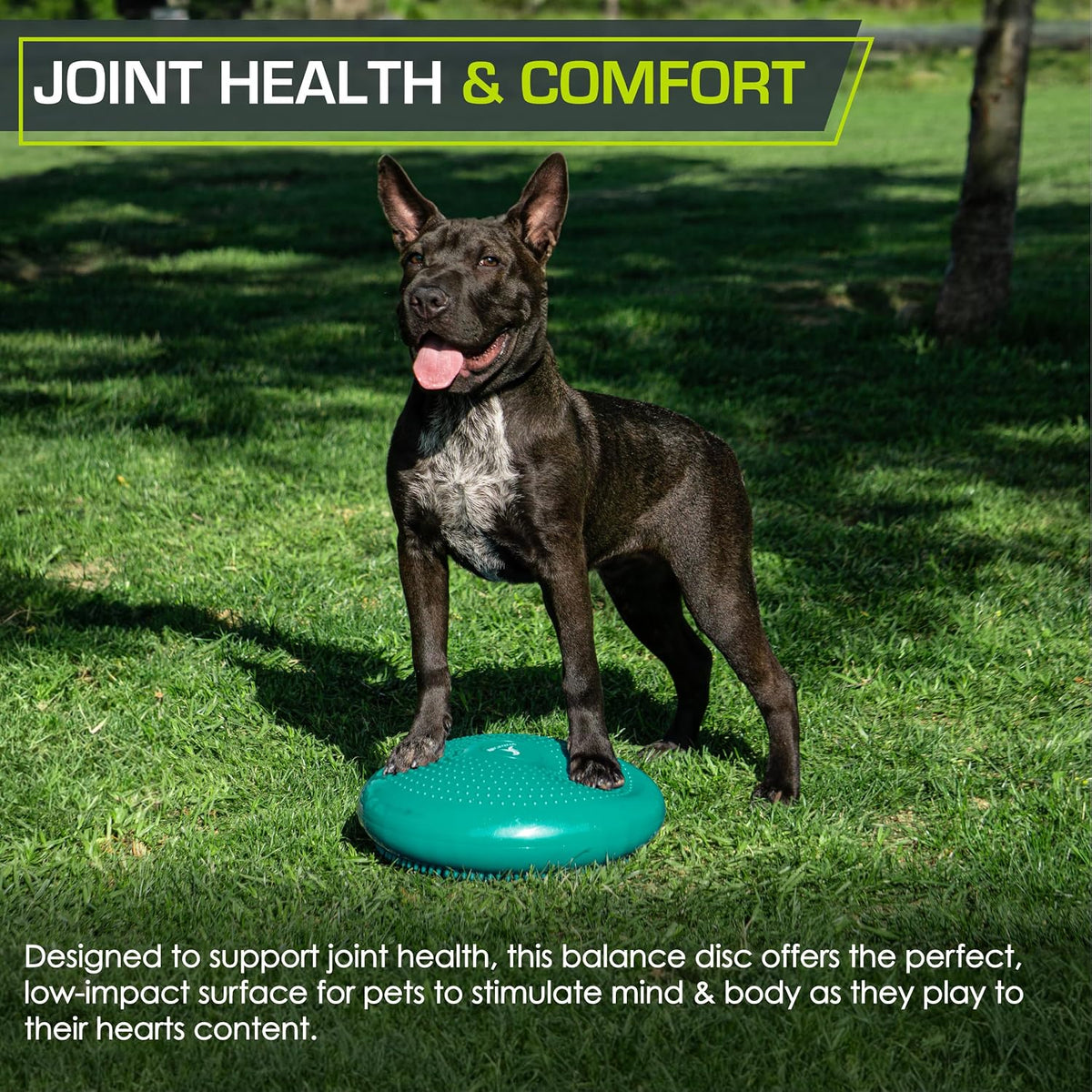 ProsourceFit Core Balance Disc, Inflatable Wobble Cushion with Hand Pump, Dual-Textured Non-Slip Surface for Core, Balance, and Stability Training, 14-inch
