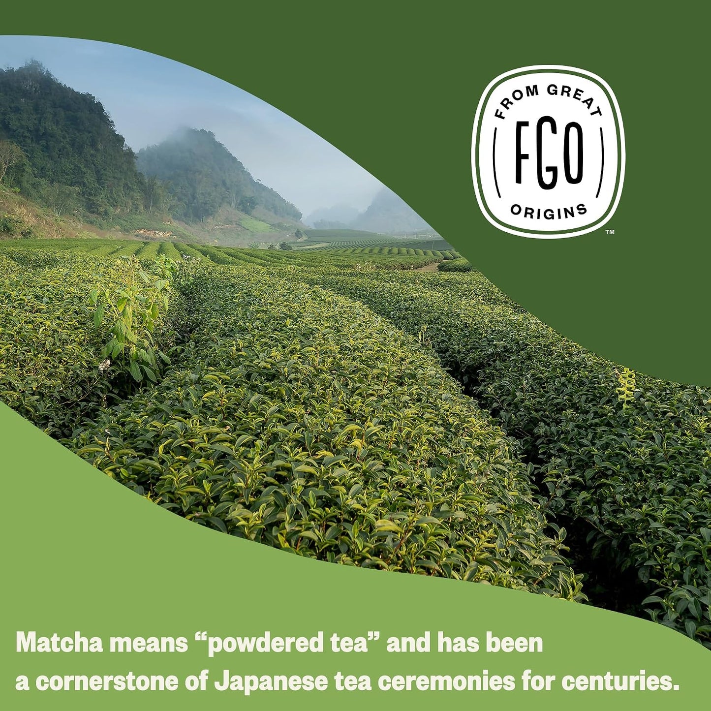 FGO Organic Chamomile Tea, 100 Count, Eco-Conscious Tea Bags, Resealable Bag, Packaging May Vary (Pack of 1)