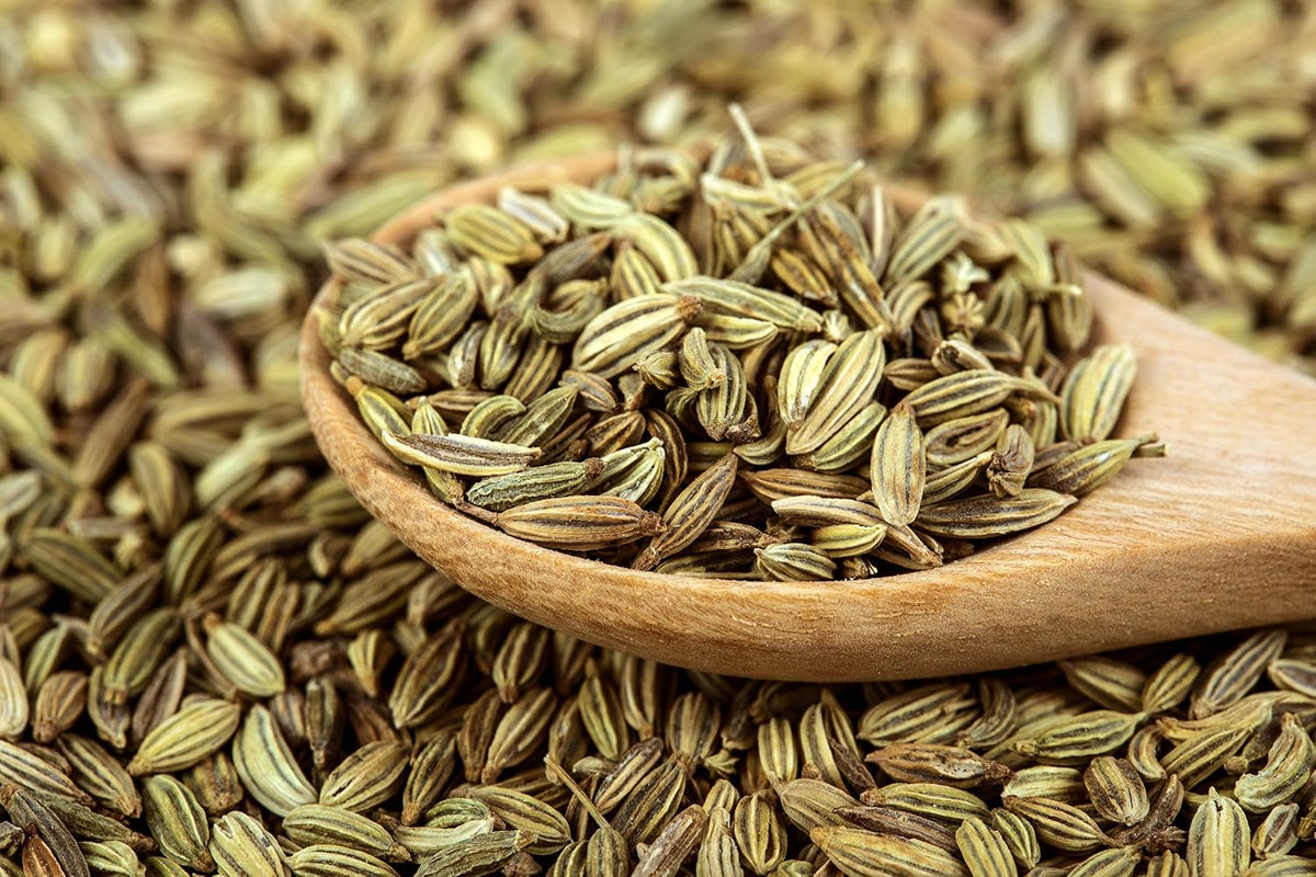 Fennel Seed 1LB (16Oz) 100% CERTIFIED Organic Egyptian Fennel Seed (Foeniculum vulgare), in 1 lbs. Bulk Resealable BPA-free Bag by U.S. Wellness Naturals