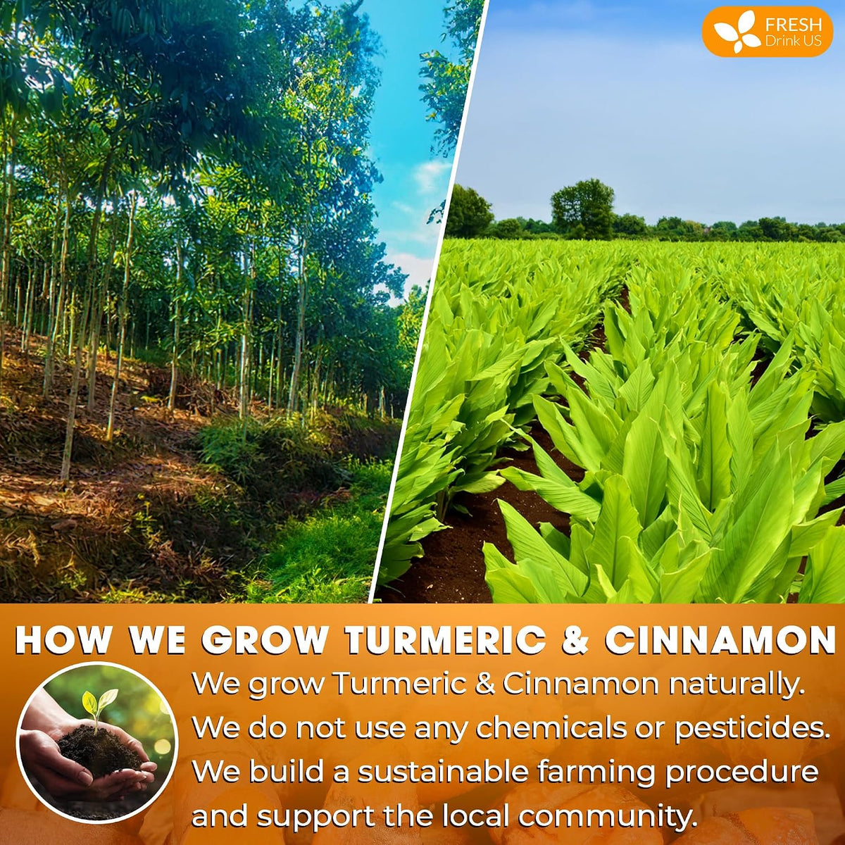FreshDrinkUS, Premium Turmeric Cinnamon Tea - 75 Bags, 100% Natural, Blend of Turmeric, and Cinnamon. Made with Eco-Conscious Tea Bags. No Sugar. No Caffeine. Vegan.