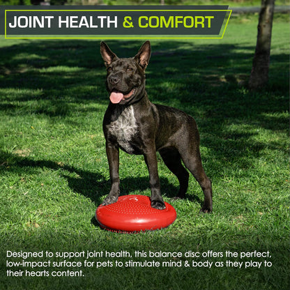 ProsourceFit Core Balance Disc, Inflatable Wobble Cushion with Hand Pump, Dual-Textured Non-Slip Surface for Core, Balance, and Stability Training, 14-inch