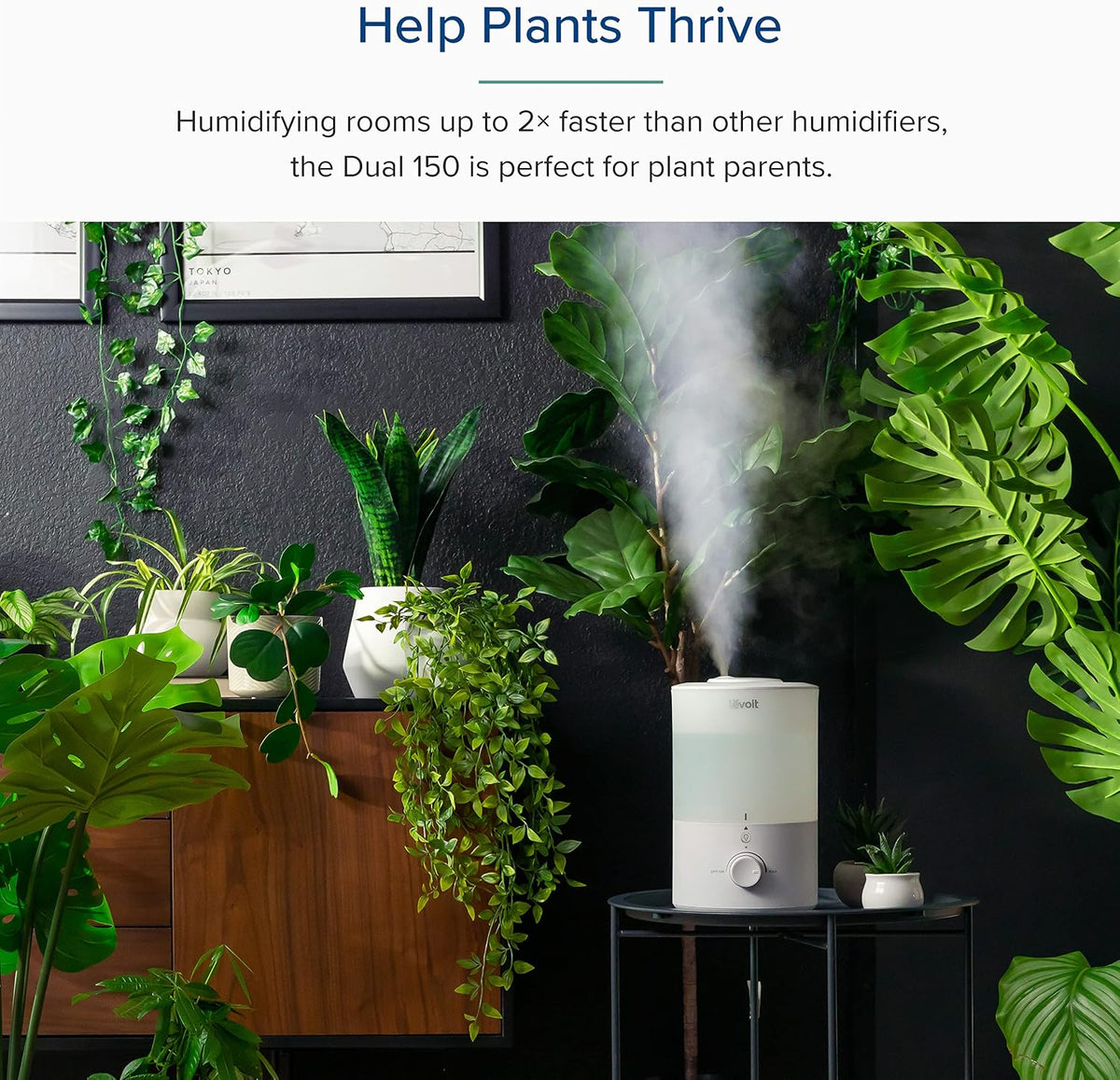 Levoit Humidifiers for Bedroom, Smart Warm and Cool Mist, Symptom Relief