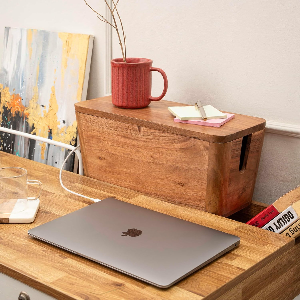 Cable Management Box, Power Strip & Extension Cord Hider, Desk Organizer