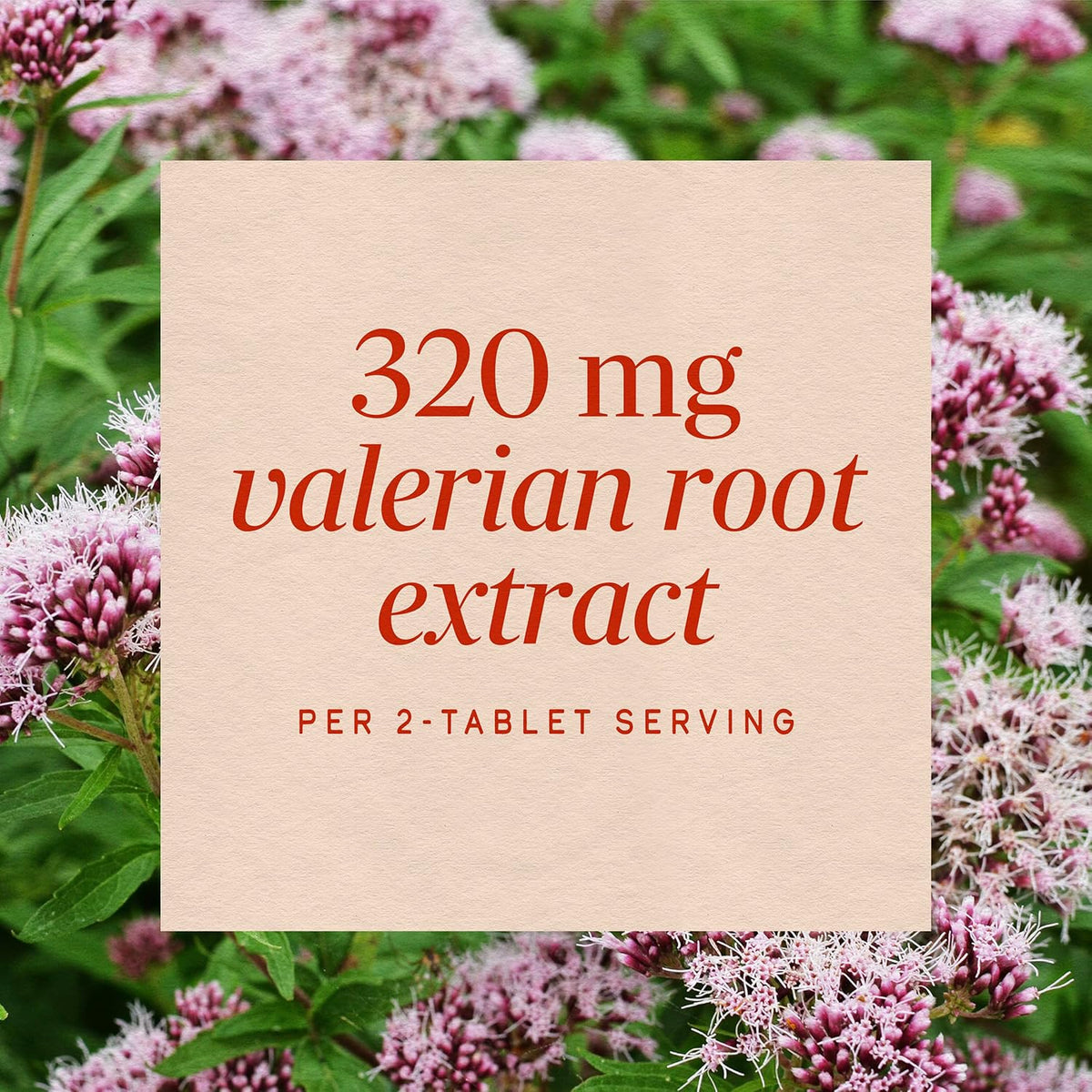 Nature's Way Valerian Nighttime, Valerian Root Sleep Support*, 100 Tablets