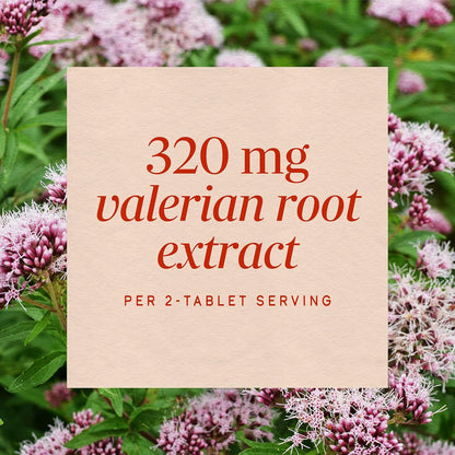 Nature's Way Valerian Nighttime, Valerian Root Sleep Support*, 100 Tablets