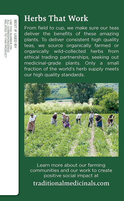 Traditional Medicinals Organic Nettle Leaf Herbal Tea, Supports Joint Health & Overall Wellness, (Pack of 3) - 48 Tea Bags Total