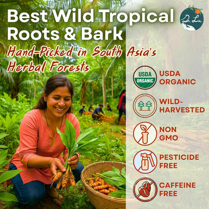 Dr. Lu’s Organic Turmeric Ginger Cinnamon Tea | Tropical Wild Roots & Bark from South Asia | 100% Natural Digestive & Warming Support | 30 x 3g Potent Root Blend Corn Fiber Pyramid Bags (No Plastic, No Nylon)