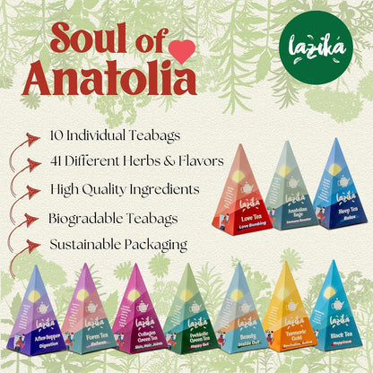 Lazika Tea Sampler with Premium Presentation Box, 10 Counts, Mothers Day Gifts, 2 of Each Blend Individually Wrapped, Black, Green and Herbal Tea Variety Gift Set, Collection with Pyramid Infuser Bag