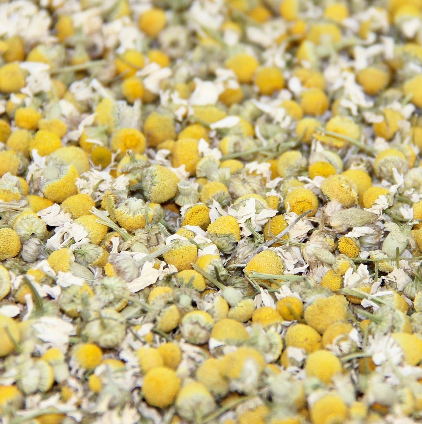 Lemon Balm (Herbal Tea): (Melissa Officinalis Caffeine Free) - Balm Leaf (Cut and Sifted), 1lb (16Oz) U.S. Wellness Bulk Tea