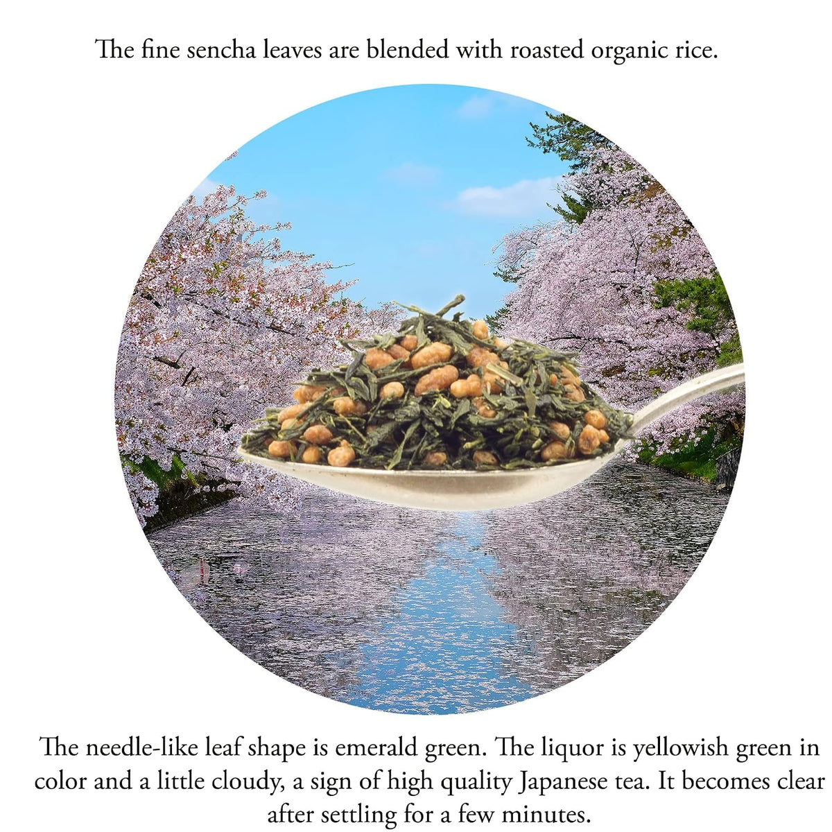 Organic Japanese Genmaicha | 100 Tea Bags | Organic Japanese Green Tea + Roasted Brown Rice | by Pantenger.
