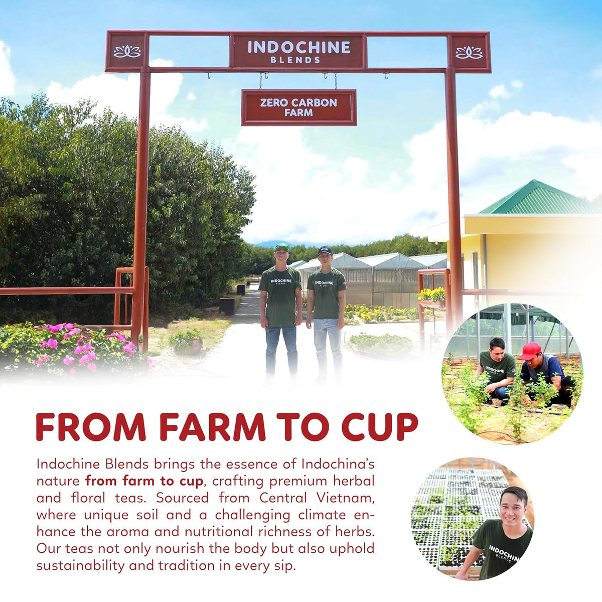 Indochine Blends Hibiscus Tea Bags, 100% Pure Hibiscus Flower