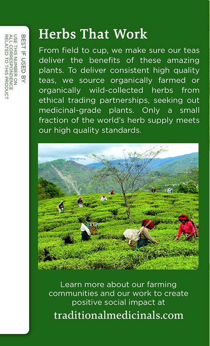 Traditional Medicinals Organic Ginger & Chamomile Herbal Tea, Relieves Occasional Indigestion or Nausea, (Pack of 3) - 48 Tea Bags Total